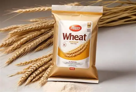 OIP - 2026-01-08T184746.775 OIP - 2026-01-08T184746.775